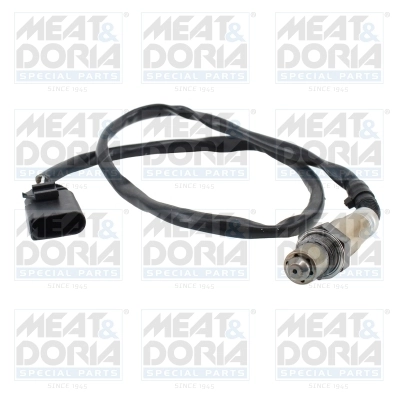 Oxygen Sensor